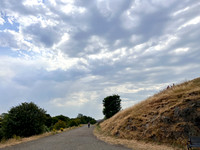 7-19-22Marci0008